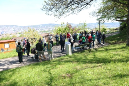 Rund 40 Personen besammeln sich zum Start des Friesenberg-Rundgangs oberhalb der Schrebergärten auf dem Panoramaweg