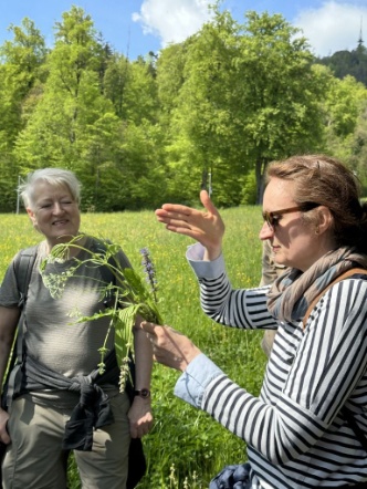 Biljana Milakovic (rechts) erläutert zahlreiche Pflanzen, von der Wurzel über den Stiel bis zur Blüte und den Blättern