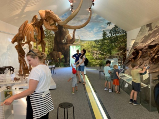 Attraktion Mammut Museum in Niederweningen